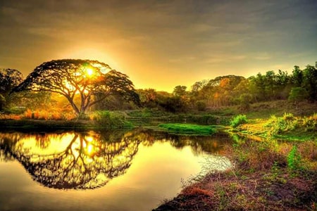 công viên châu á - asia park- đà nẵng